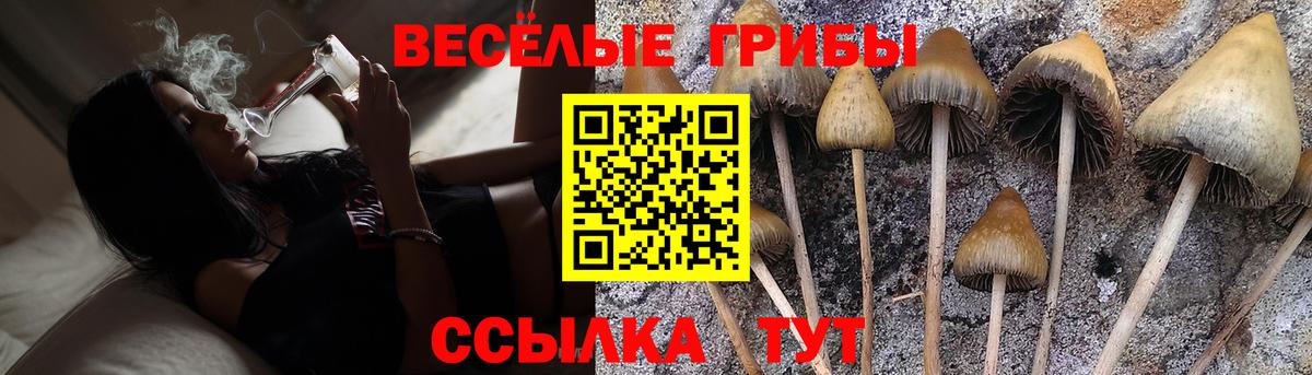 Галлюциногенные грибы MAGIC MUSHROOMS  Вход с VPN  Артёмовский 